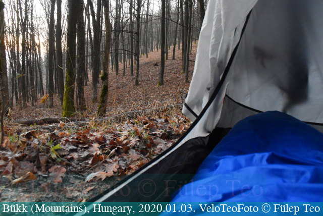 Kilátás: mesebeli erdő látványa a sátramból. Fel kéne kelni... 
(View: view of a fairytale forest from my tent. I should get up...)