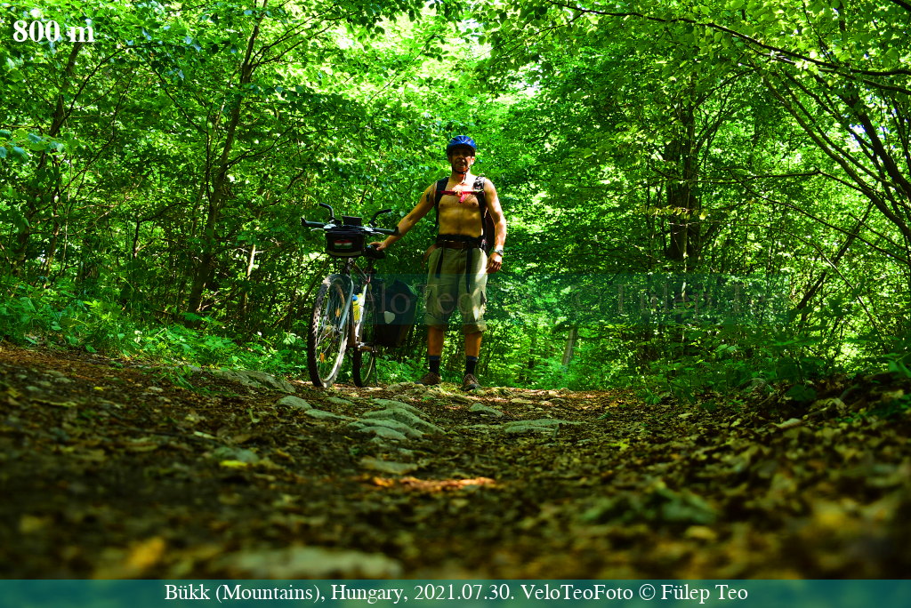 Erdők mélyén kerékpárral. (In the depths of forests by bike.)